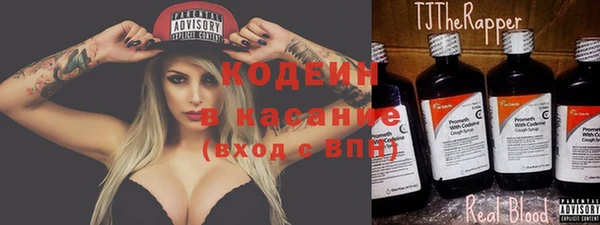 прущие грибы Карпинск